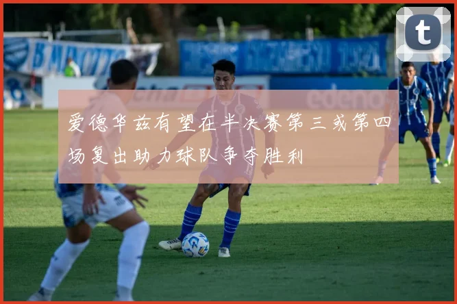 爱德华兹有望在半决赛第三或第四场复出助力球队争夺胜利